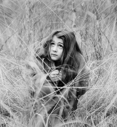 Tideland / ***