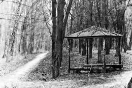 Arbor / ***