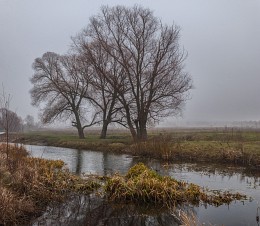From the series &quot;High fogs ...&quot; / ...