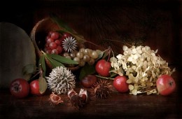 The fruits of autumn / ***