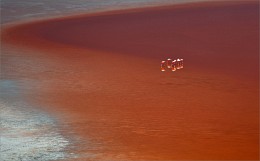 Afloat / ***