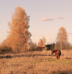 the sun goes down / ***