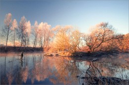 Hunting frosty morning / ***