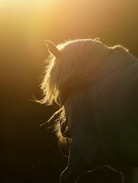 Woven sunset! / ***
