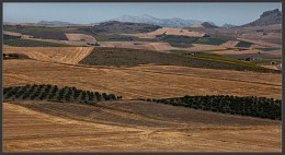 Spanish landscape. / ***