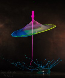 Umbrella of the rainbow / ***
