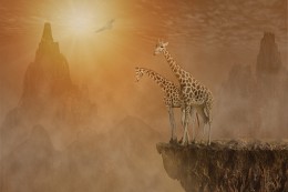 On top of the world / ***