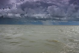 After the storm / ***