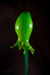 Sea cucumber / ***