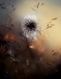 ..letim ..? / ***