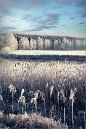 Silver winter / ***