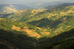 Hayfields on the slopes / ***