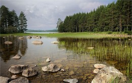 Karelian sketches / ***