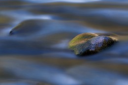 heart of flint / ***