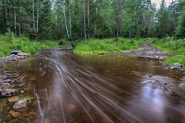 Rapids / ***