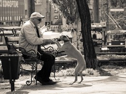 Dialogue / ***