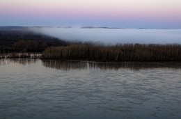 Dawn / ***