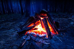 Spring fire / ***