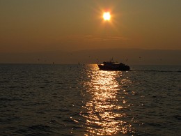 Sunset on the island / ***