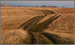 Road / ***