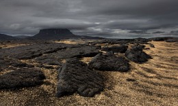 General geology, the gold deposit ... / ***