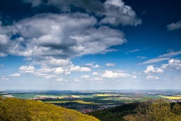 open spaces / ***