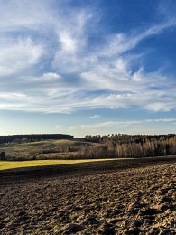 Feld / ***