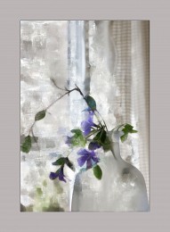periwinkle / >>>