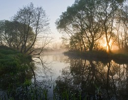 Dawn / ***