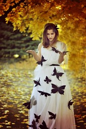 Black Butterfly / ***