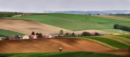 Austrian pastoralka / ***