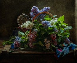 Time - May .... / ...