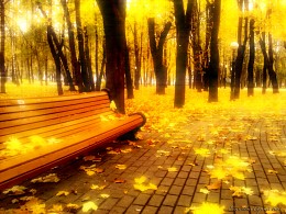 Autumn time charm the eyes / ***