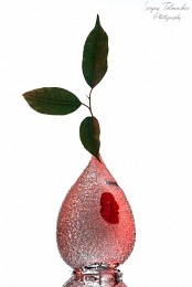 Water Vase / ***