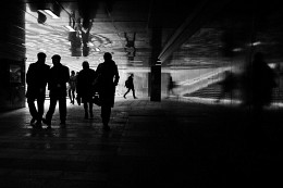 Untitled / ***