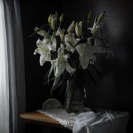 Gloomy morning / ***