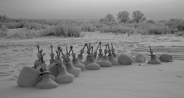 Ergebnis / ***