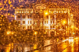 Rain / ***
