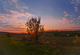  / nikon d90 18-55
