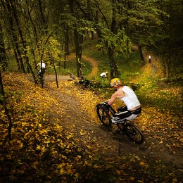 Autumn freeride / ***