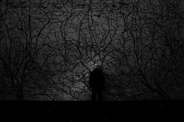 Mind sleeping / ***