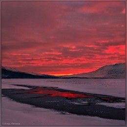 Polar sunset / ***
