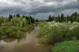 Before the storm / ***