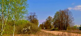 spring morning / ***