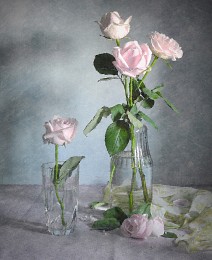 With roses / ***