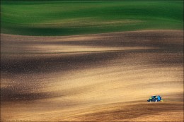 / FIELD RUNNER / / ***