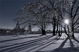 Bitter cold. / ***