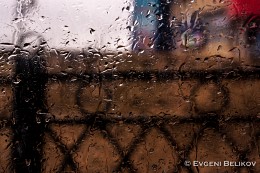 Rainy / ***