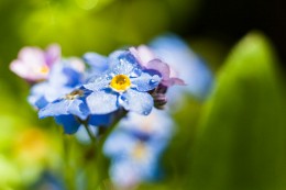 Just lovely / ***