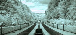 Winter summer? / ***